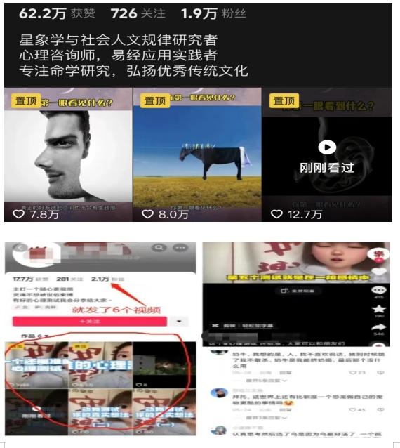 我靠抖音心理测试蓝海项目，日引500 粉丝，日入1000 ，小白可操作，无需门槛（附3G素材）